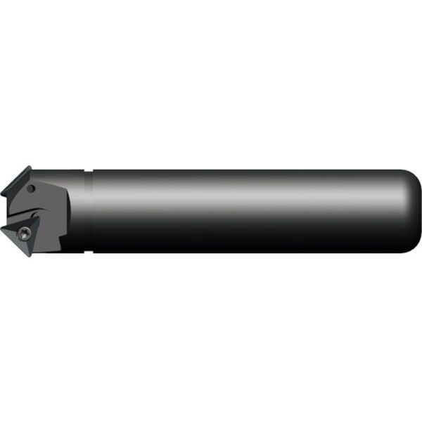 富士元　モミエコ２