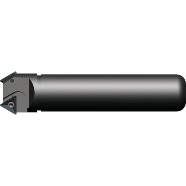 富士元　モミエコ２