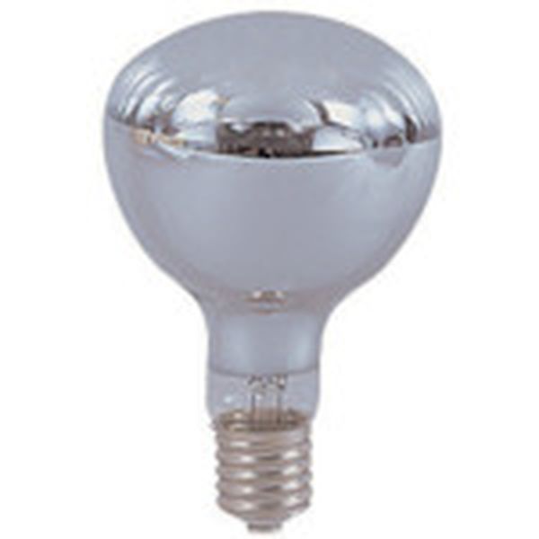 NRF300220V  安全投光器用交換球 レフ球(白熱球) 300W 220V 3650Lm