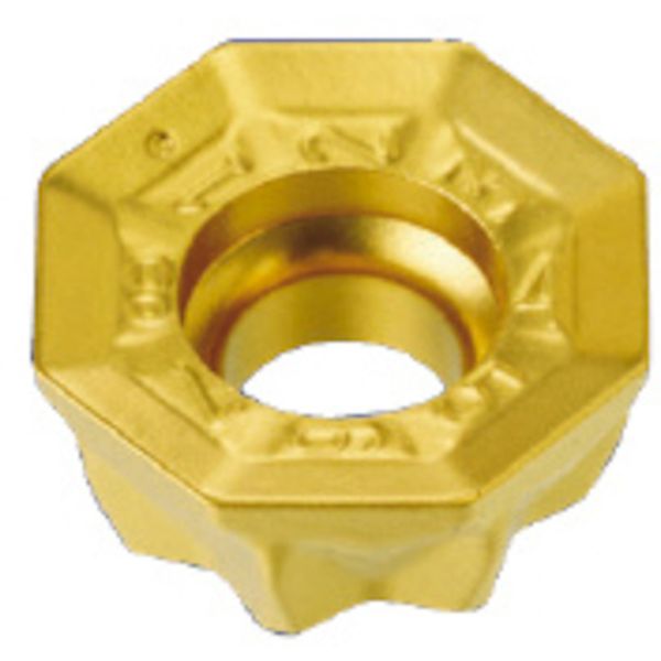 C チップ COAT 10個入り