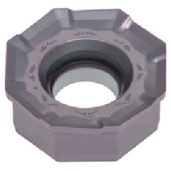 TACチップ 10個入り