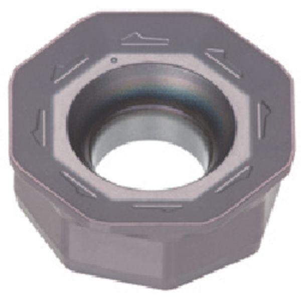 TACチップ 10個入り