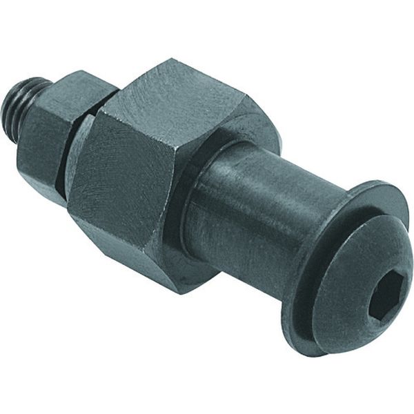 213-0134  ローラーピン(偏心)