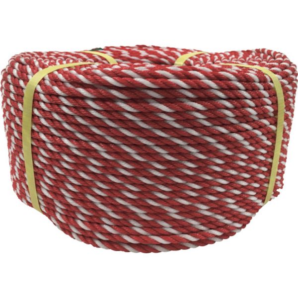 PE105 113-5471  ロープ PEロープ巻物 6φ×200m コウハク