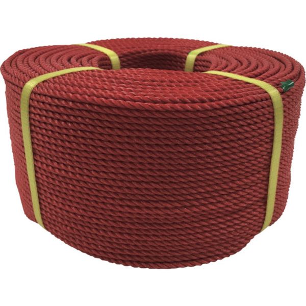 PE81 113-5444  ロープ PEロープ巻物 4φ×200m レッド