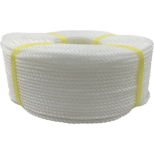 PE97 113-5523  ロープ PEロープ巻物 5φ×200m ホワイト