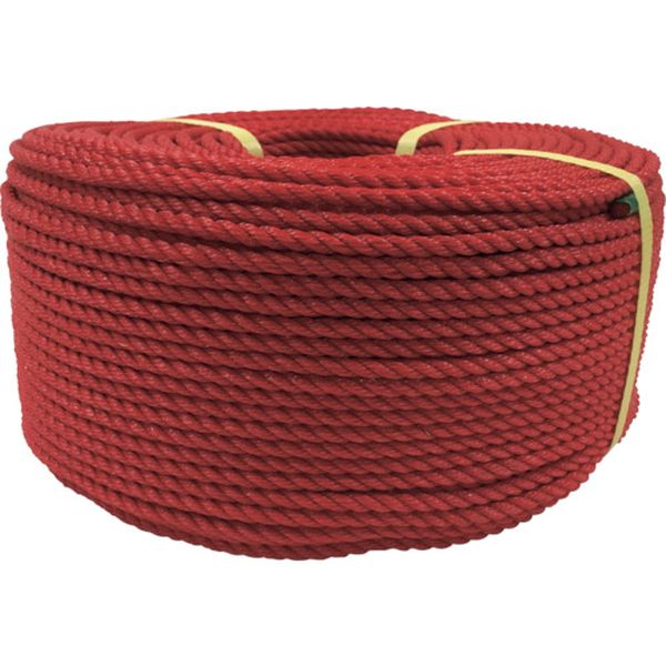 PE101 113-5504  ロープ PEロープ巻物 6φ×200m レッド