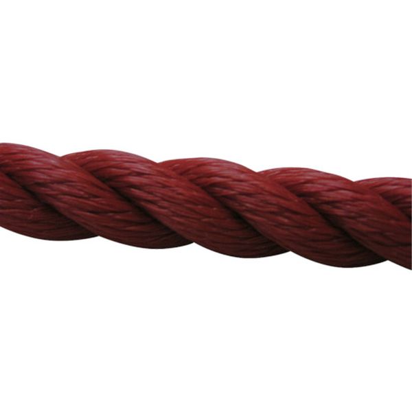 PE51 113-5488  ロープ PEロープ巻物 9φ×200m レッド