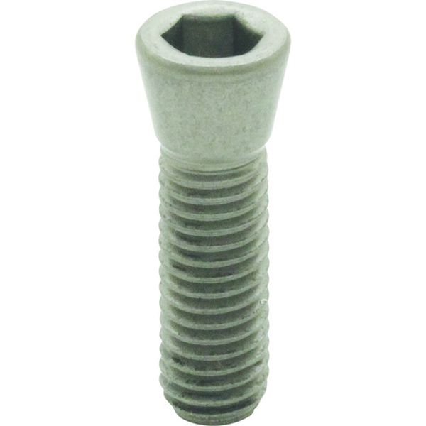 PEPP10TB 213-3132  テーパーボルト (圧入タイプ)