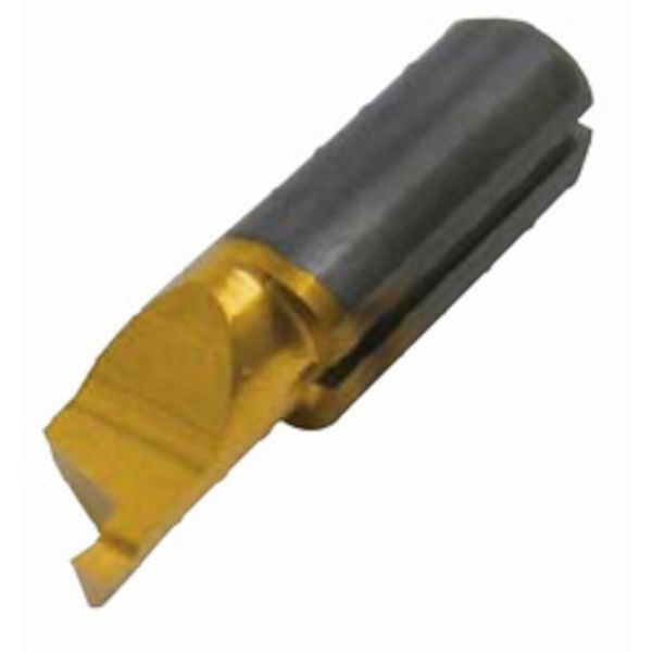 Ｄ　チップ　ＣＯＡＴ