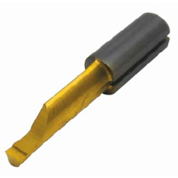 Ｄ　チップ　ＣＯＡＴ