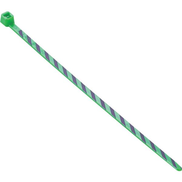 ストライプナイロン結束バンド　緑／紫