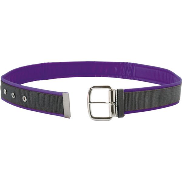 コヅチ　カラーソフトベルトワンピン４８バイオレット