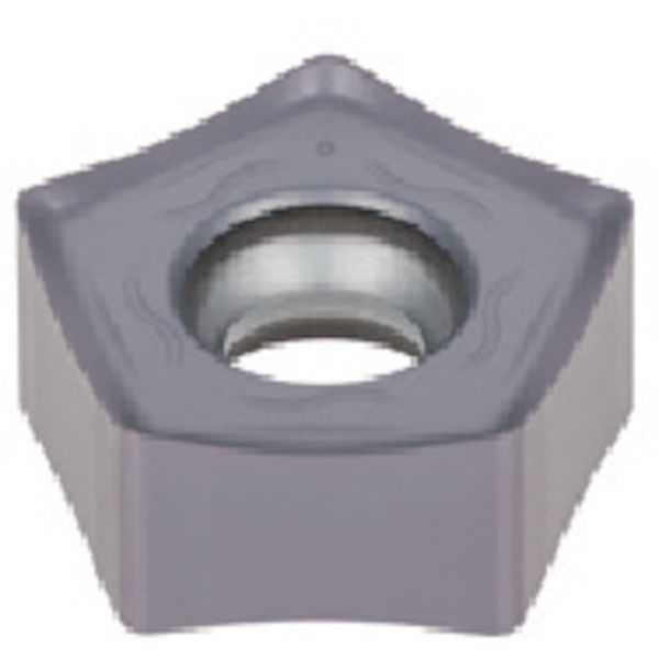 TACチップ 10個入り