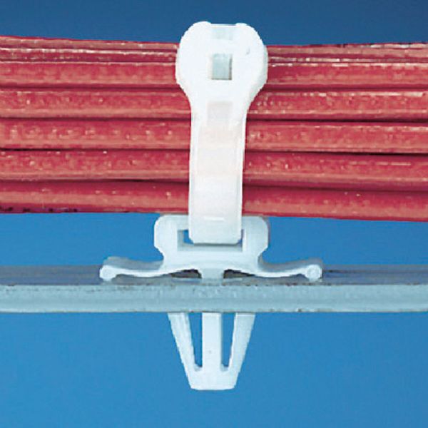 押し込み型固定具　ナチュラル