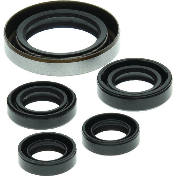 QuadBoss 06-07 Polaris Outlaw 500 Oil Seal Set