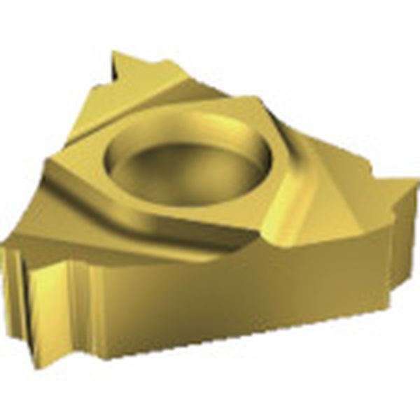 T-Max U-ロック ねじ切りチップ 1020 10個入り