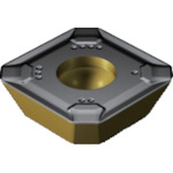 コロミル245チップ COAT 10個入り