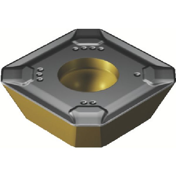 コロミル245チップ COAT 10個入り