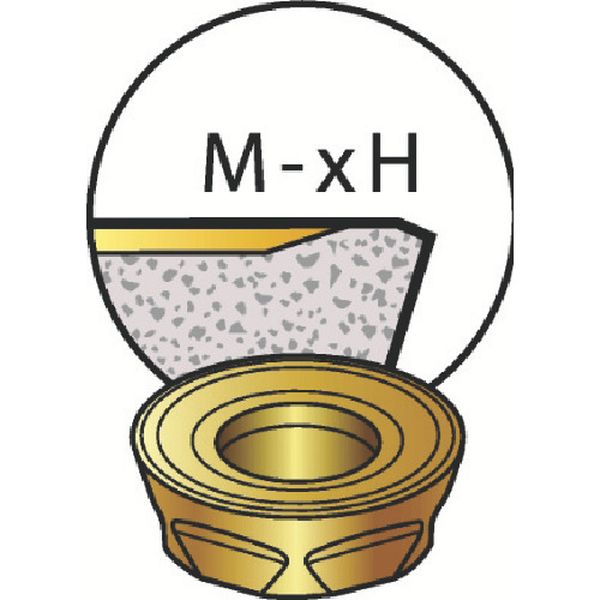 R3001240MPH   コロミル300用チップ 4240 10個入り