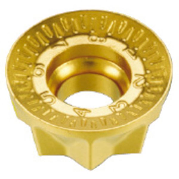 C チップ COAT 10個入り