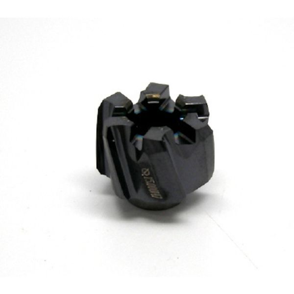 Ｃ　リーマ／チップ　ＣＯＡＴ