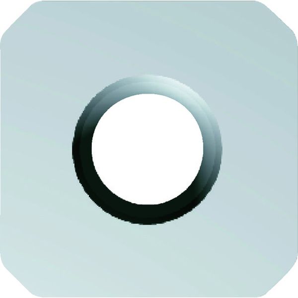 フェイス加工用Sタイプ並級チップ 微粒子超硬 ポジタイプ COAT 12個入り