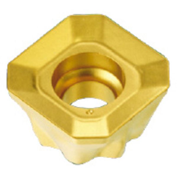 C チップ COAT 10個入り