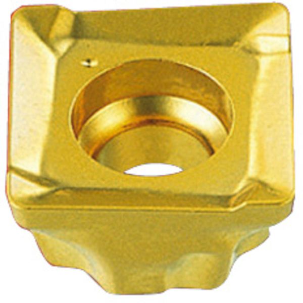 C チップ COAT 10個入り