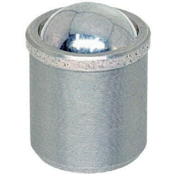 805-8596  ステンレスケースプランジャー