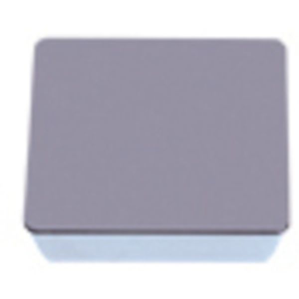 転削用C.E級TACチップ 超硬 10個入り