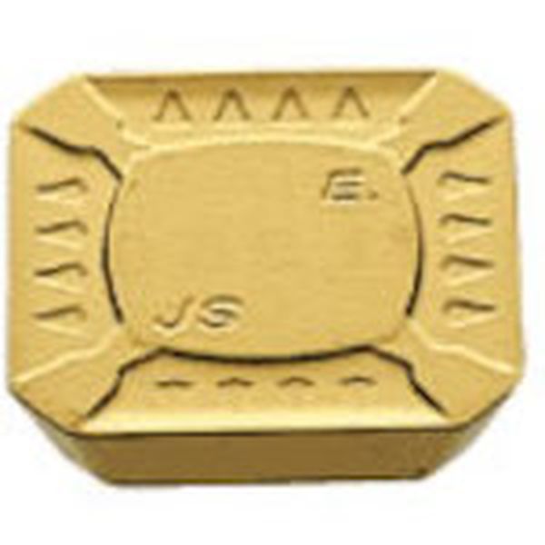 フライスチップ COAT 10個入り