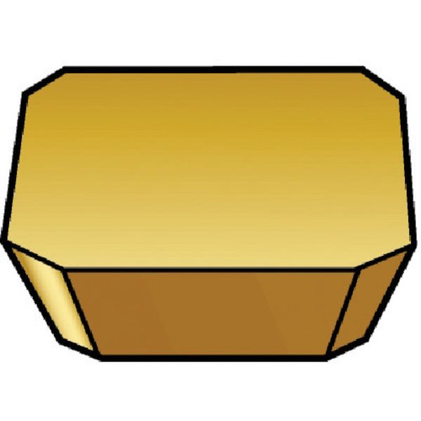 フライスカッター用チップ 3020 10個入り