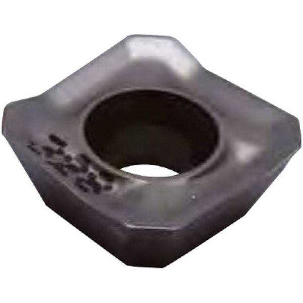 A チップ COAT 10個入り