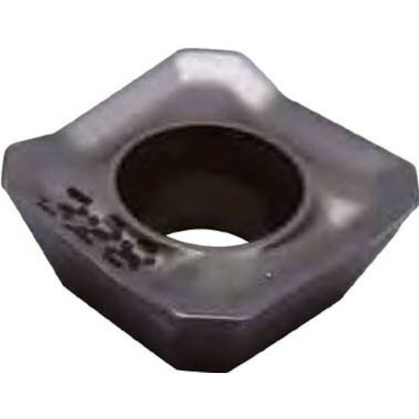 A チップ COAT 10個入り