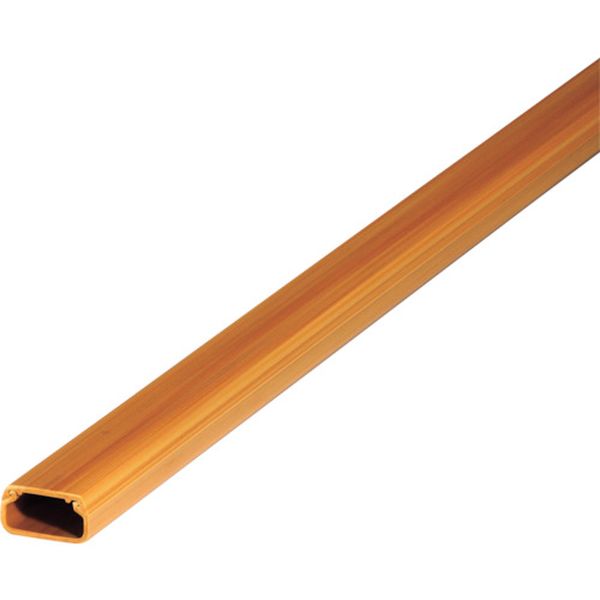 121-3013  ニュー・エフモール 3号 ケヤキ