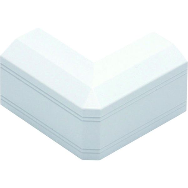 P   デズミ1号 ホワイト