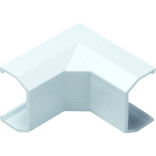 P   イリズミ1号 ホワイト