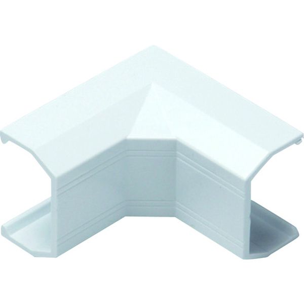 P   イリズミ3号 ホワイト