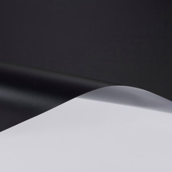 SH2FRBKXA3 856-0592  スコッチティント フロスト・ブラック