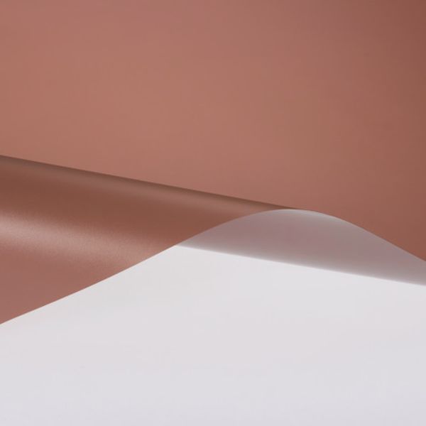 SH2FRBRXA3 856-0584  スコッチティント フロスト・ブロンズ