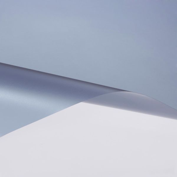 SH2FRGRXA3 856-0581  スコッチティント フロスト・グレー