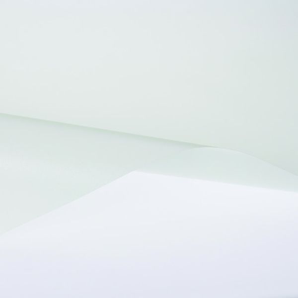 SH2FRMLXA3 856-0575  スコッチティント フロスト・ミルキー