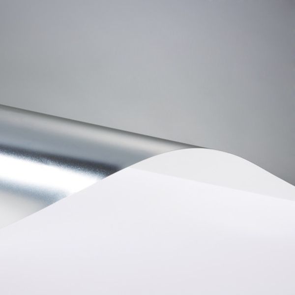 SH2FRSI1XA3  スコッチティント フロスト・シルバー1