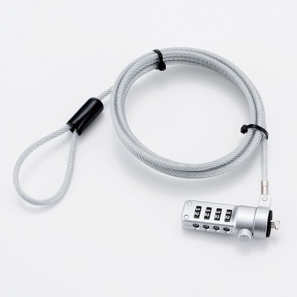 SL055 176-9509  セキュリティロック