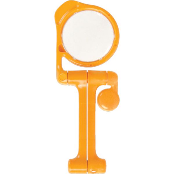 ムッシュマグニ