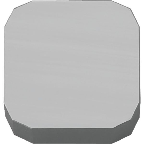 ミーリング用チップ サーメット TN100M 10個入り