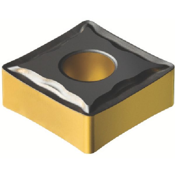 120412MF   T-MAXPチップ COAT 10個入り