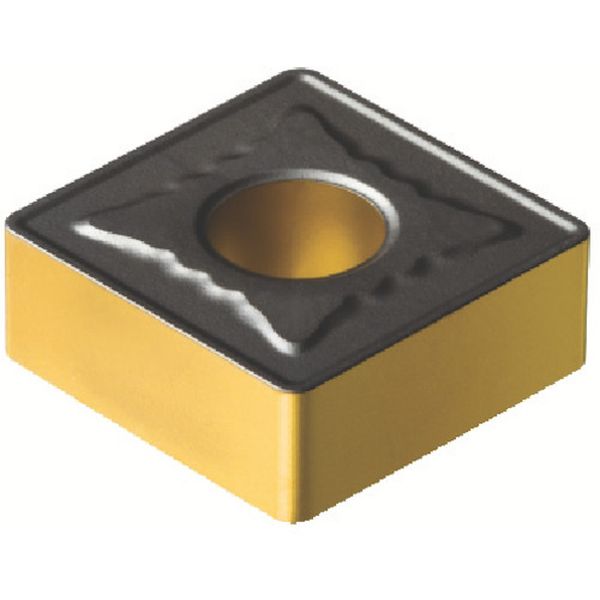 120412MR   T-MAXPチップ COAT 10個入り