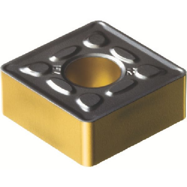 250924HM   T-MAXPチップ COAT 5個入り